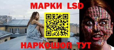 Альфа ПВП Донецк