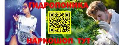 ешки Дубна