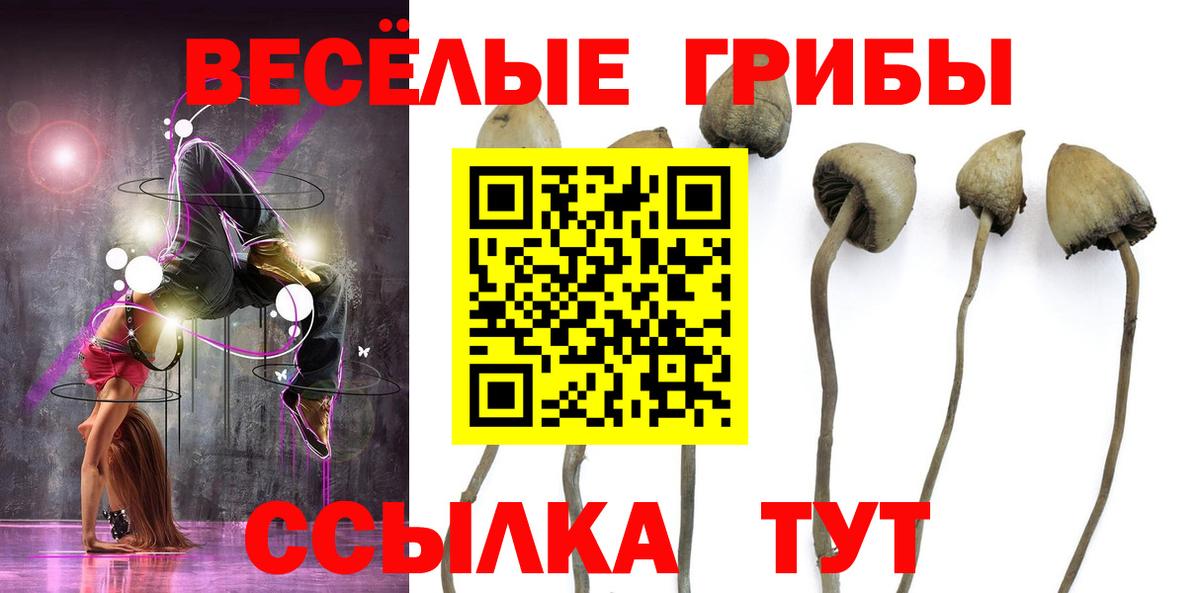 Мыски  как найти закладки  Вход с VPN  Галлюциногенные грибы MAGIC MUSHROOMS 