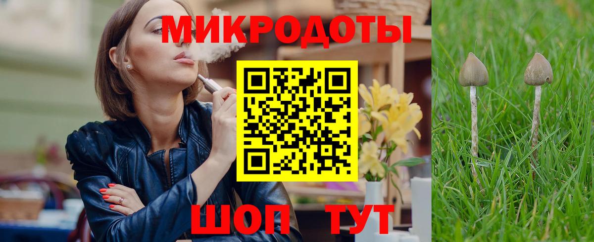 Псилоцибиновые грибы Psilocybine cubensis Мыски